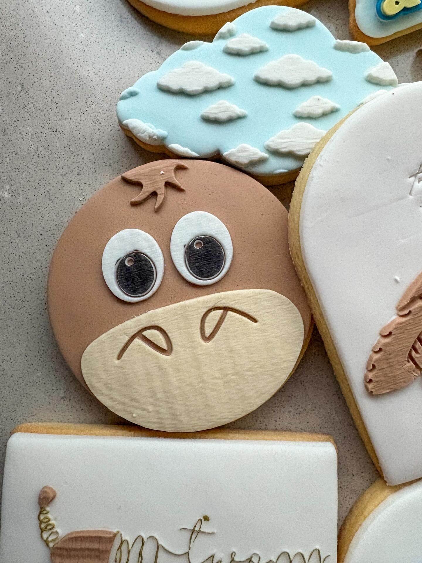 Bullseye Face- toy story  Fondant Debosser