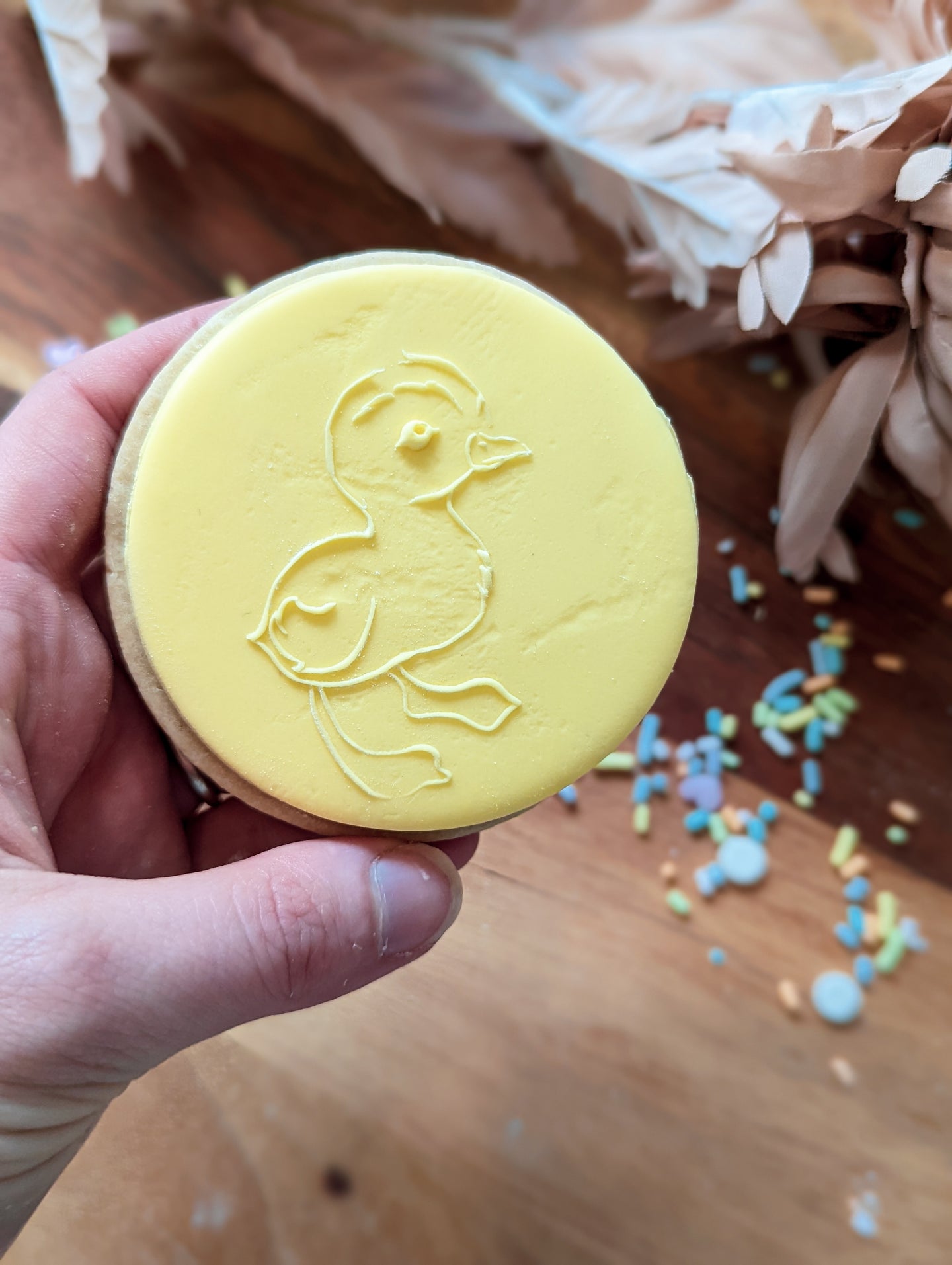 Ducky Fondant debosser