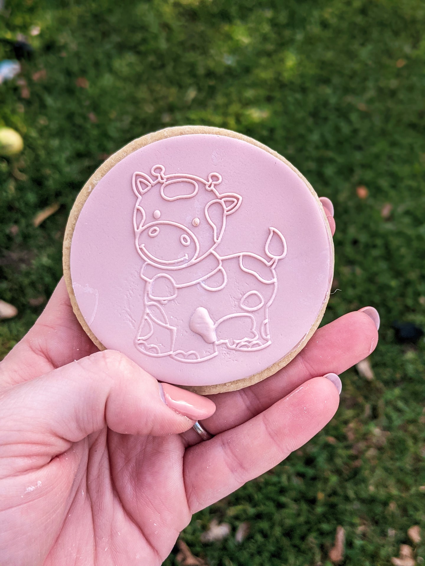 Farm Animals Fondant Debossers
