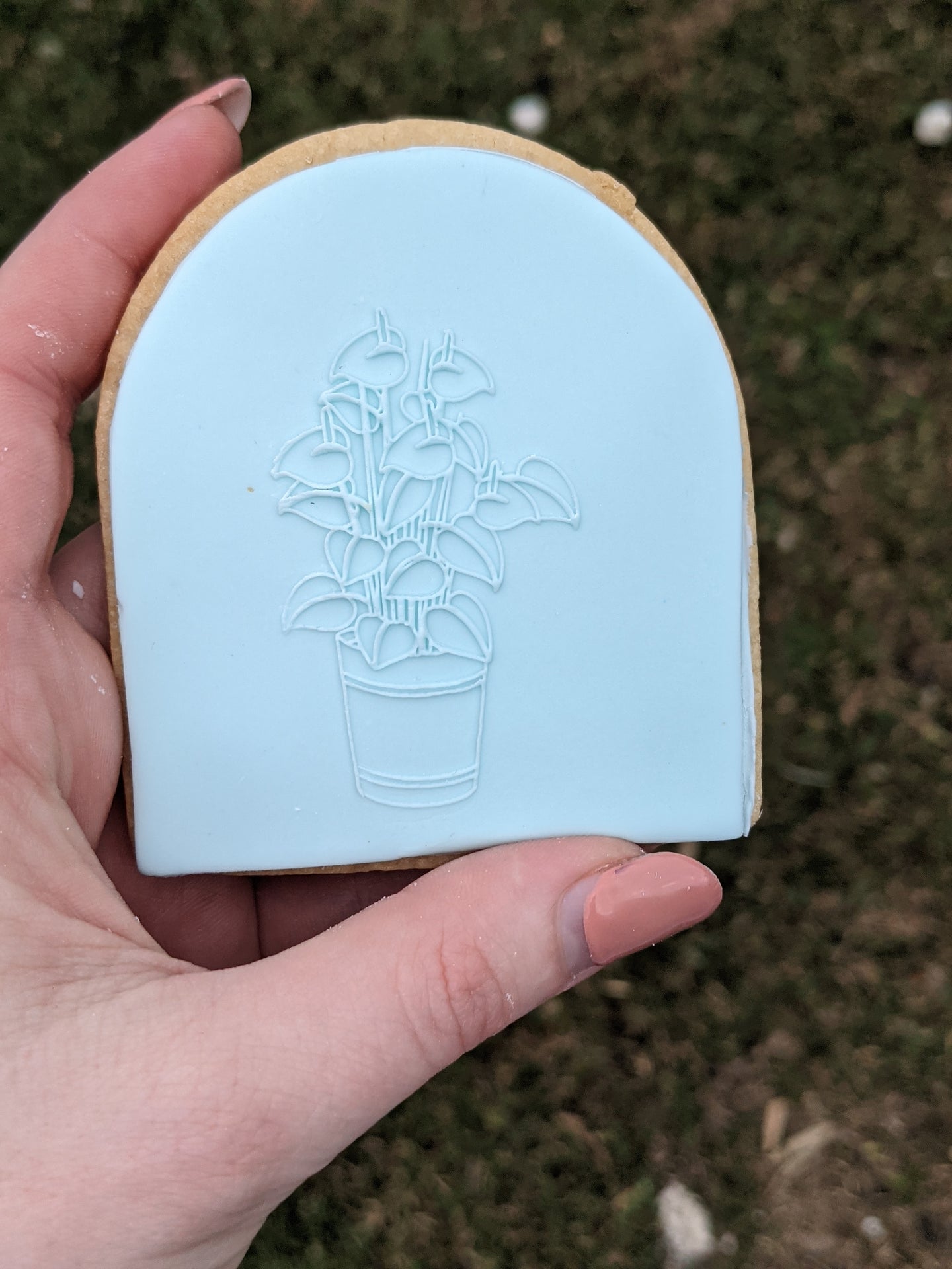 House Plant Fondant Debosser