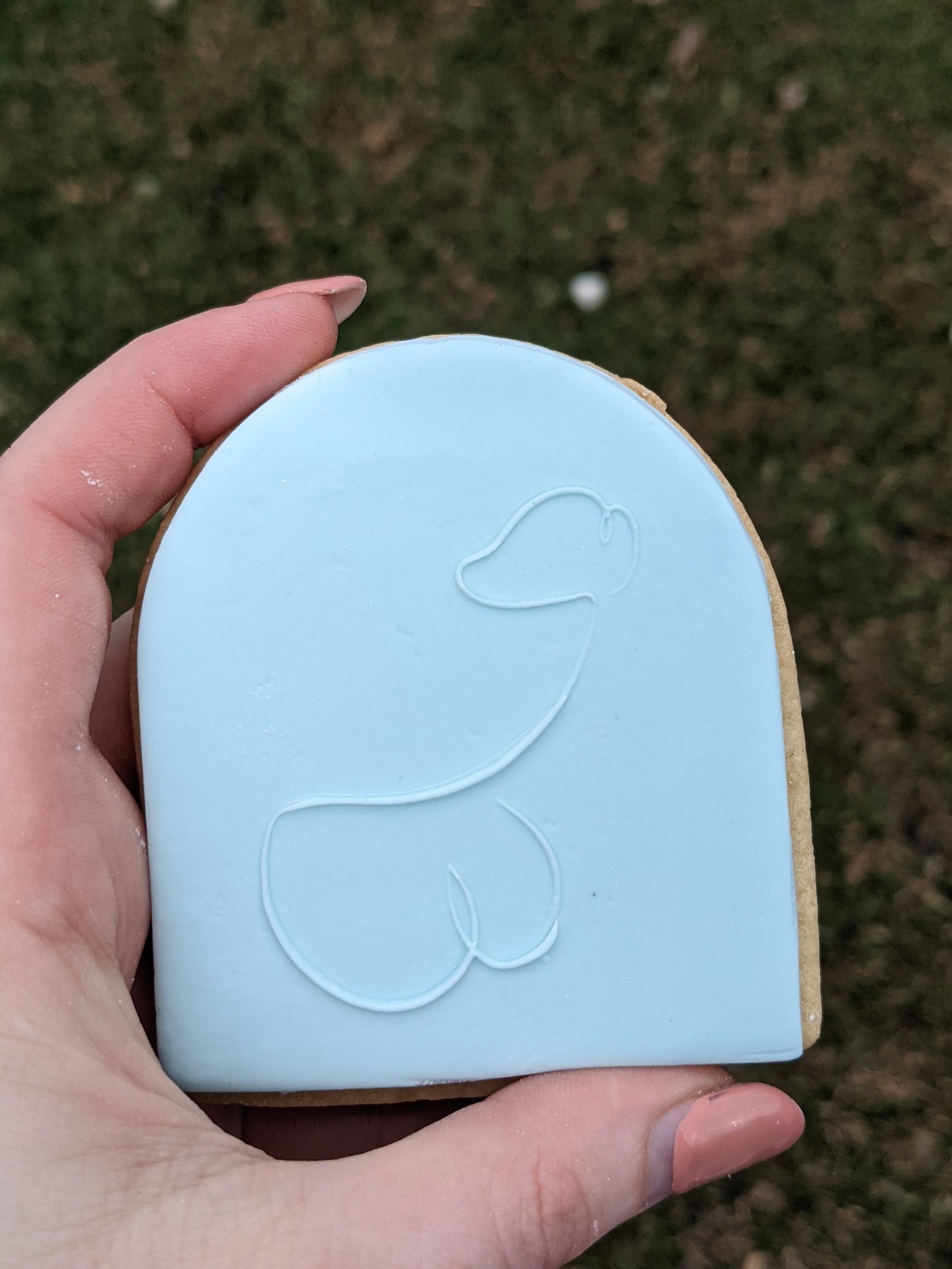Simple Penis Fondant Debosser