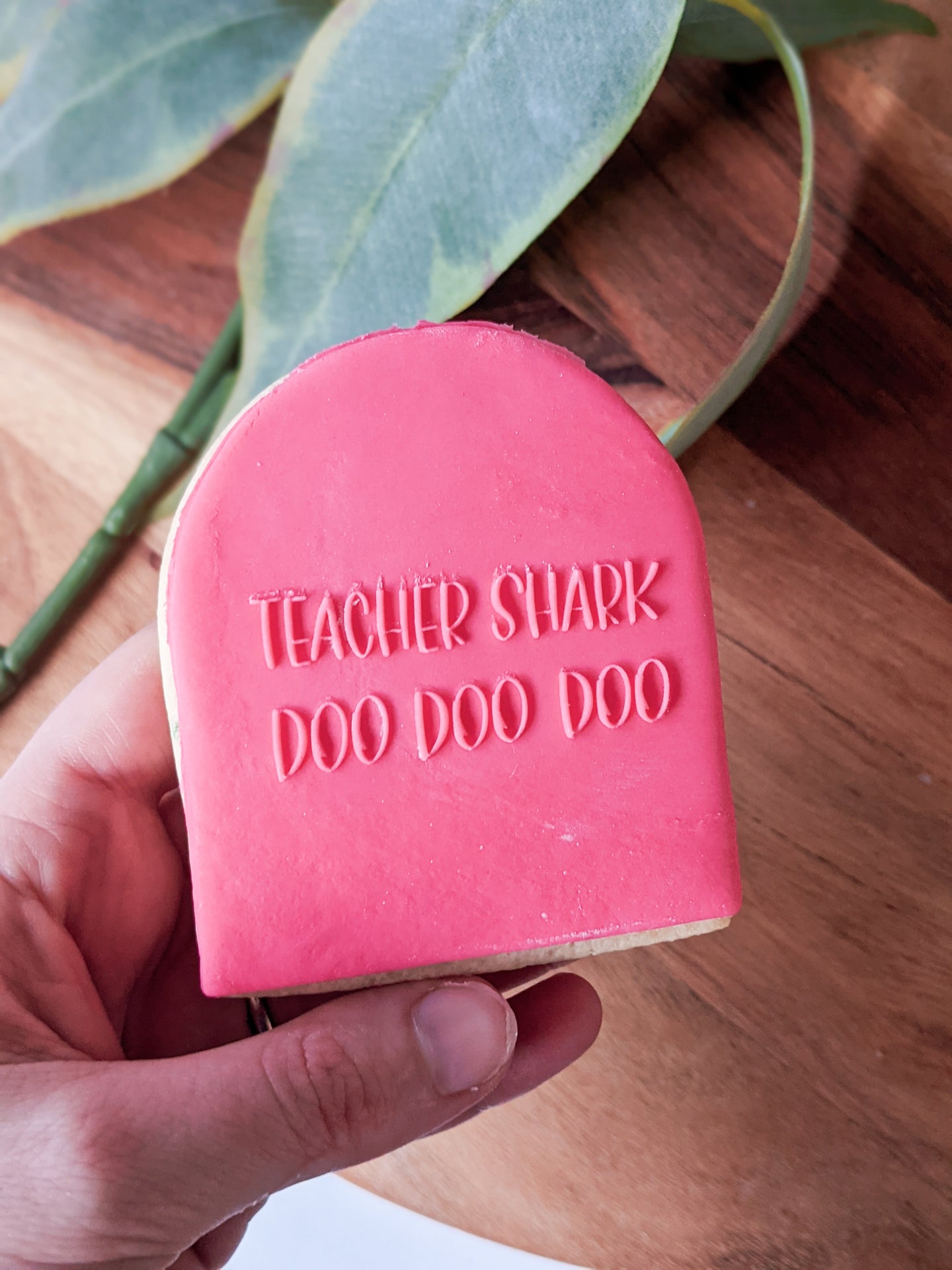 Teacher Shark Doo Doo Doo  Fondant debosser