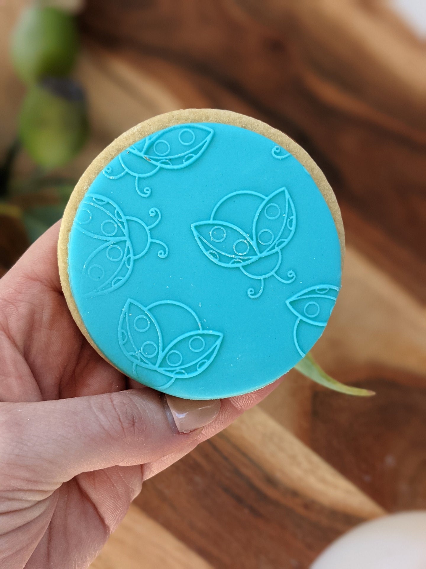 Ladybugs Fondant debosser